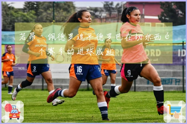 若昂·佩德罗追平德罗巴在切尔西首个赛季的进球成就