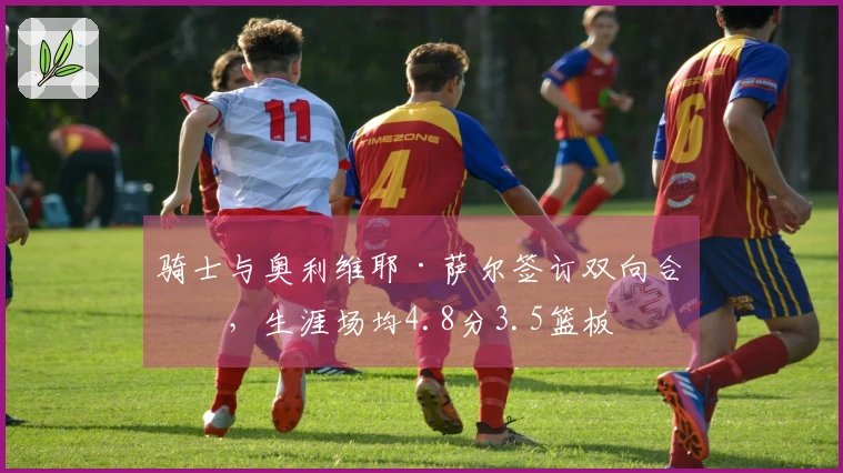 骑士与奥利维耶·萨尔签订双向合同，生涯场均4.8分3.5篮板