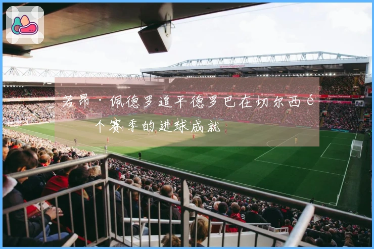 若昂·佩德罗追平德罗巴在切尔西首个赛季的进球成就